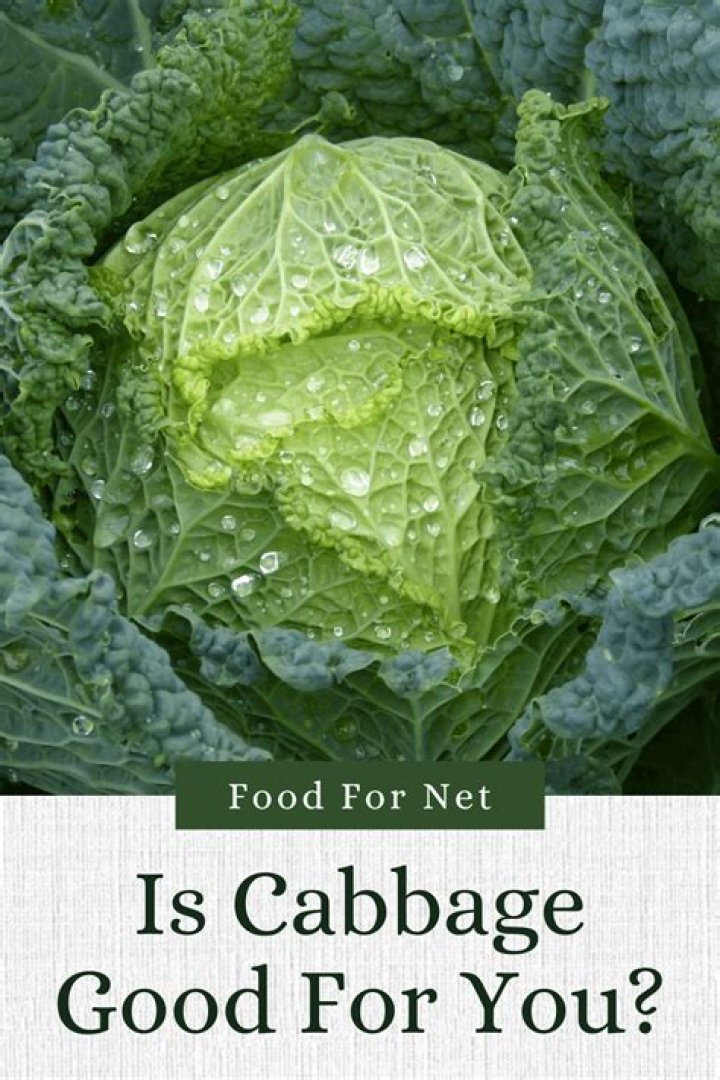 Is sour cabbage good for you?