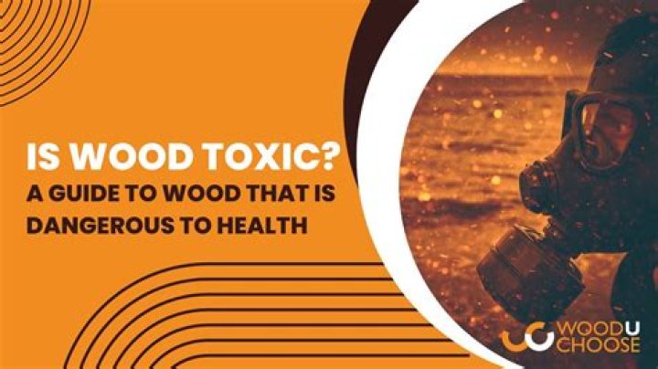 Is stained wood toxic?