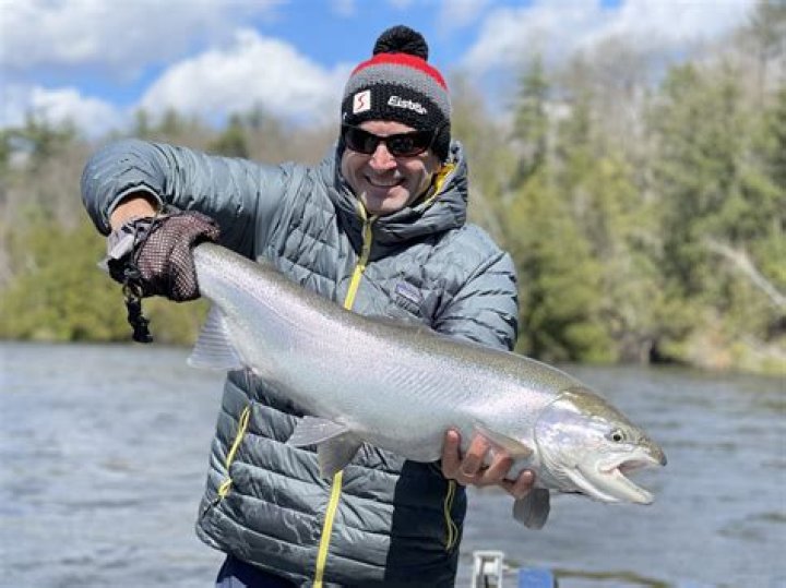 Is steelhead trout healthy to eat?