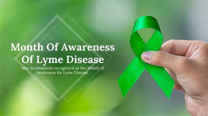 Is there a Lyme Disease Awareness Month?