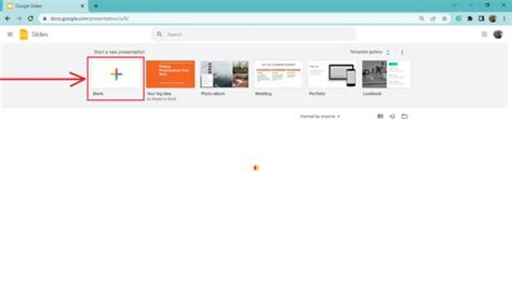 Is there a way to get an advance on tax return?