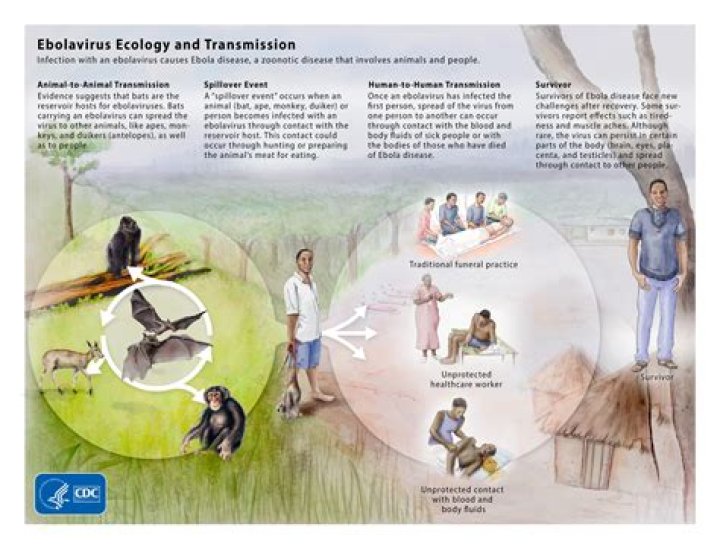 Is there still Ebola in 2021?