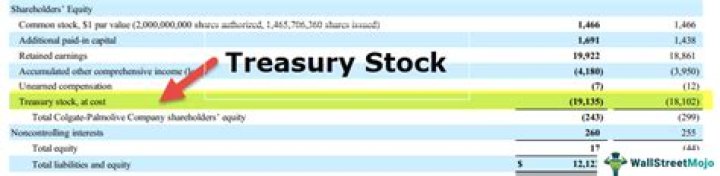 Is treasury stock included in paid in capital?
