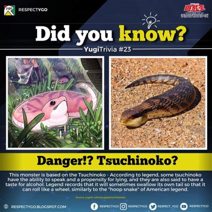 Is Tsuchinoko a snake?