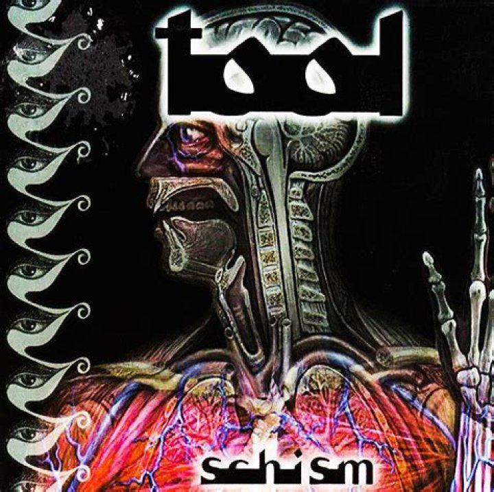 What album of Tool is schism on?