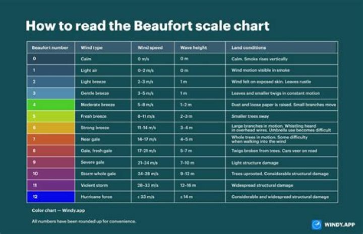 What are Beaufort scale levels?