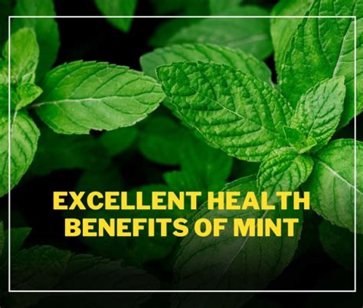 What are benefits of mint leaves?