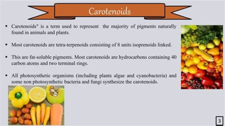 What are carotenoids pigments in plants?