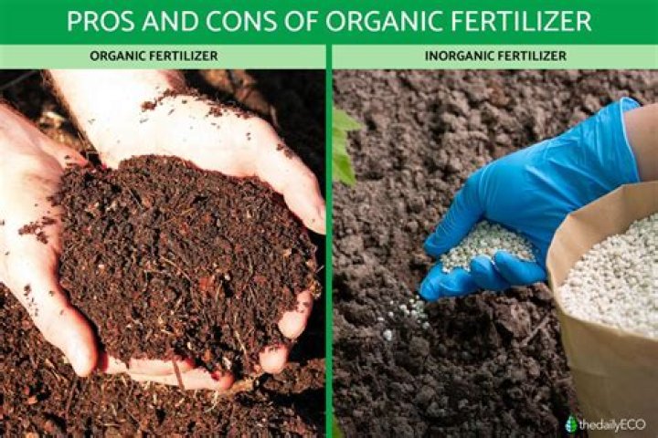 What are disadvantages of organic fertilizer?
