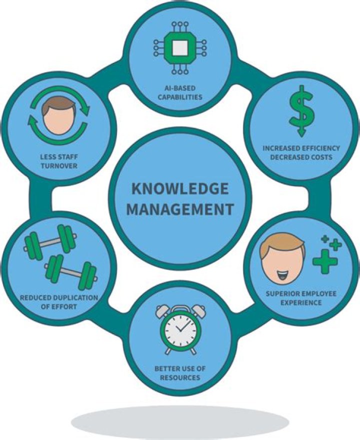 What are knowledge management principles?