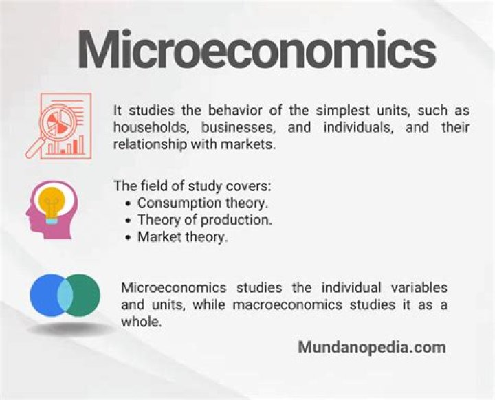 What are microeconomic preferences?