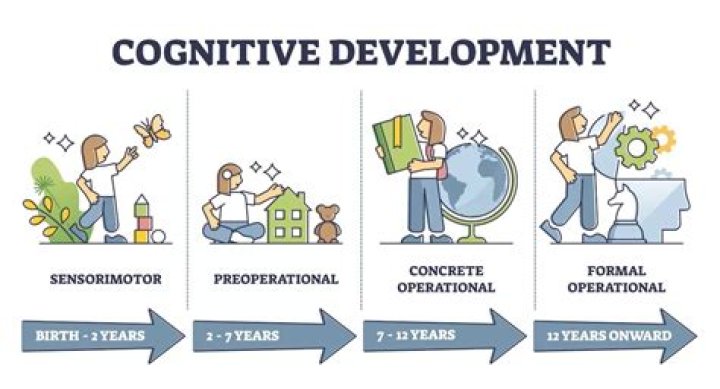 What are the 3 main components to adolescent cognitive development?