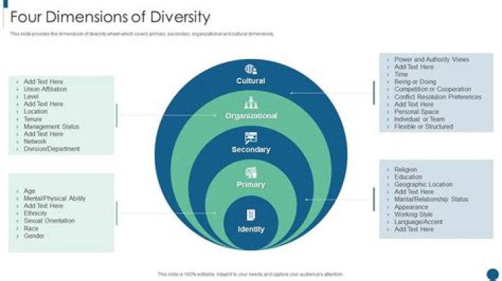 What are the 4 dimensions of diversity?