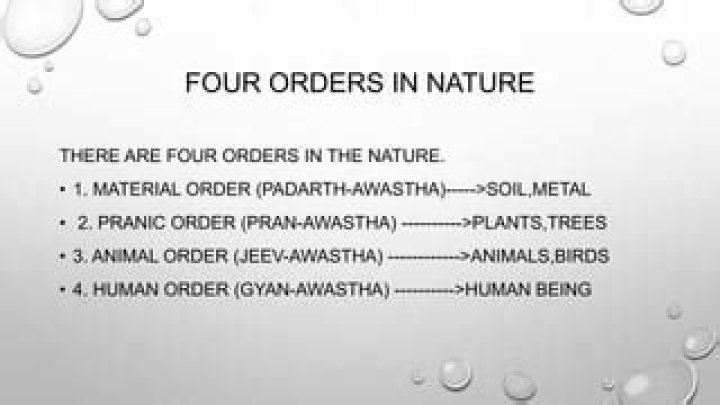 What are the 4 orders of nature in human values?