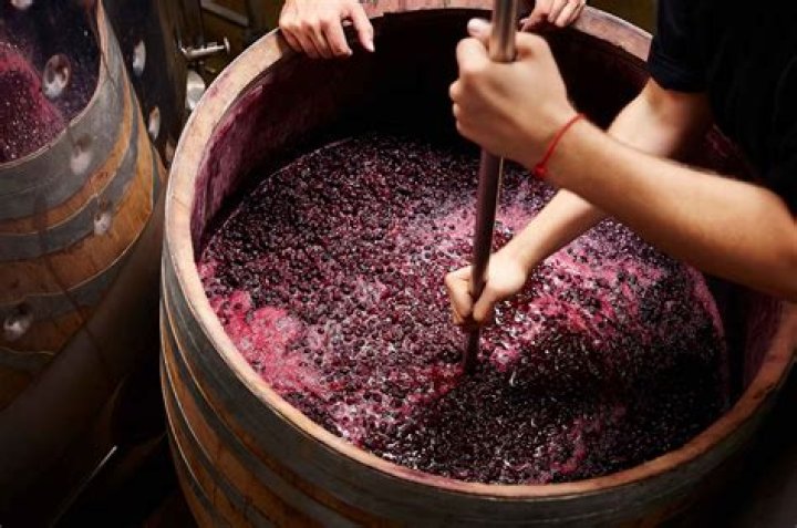 What are the 4 stages of winemaking?