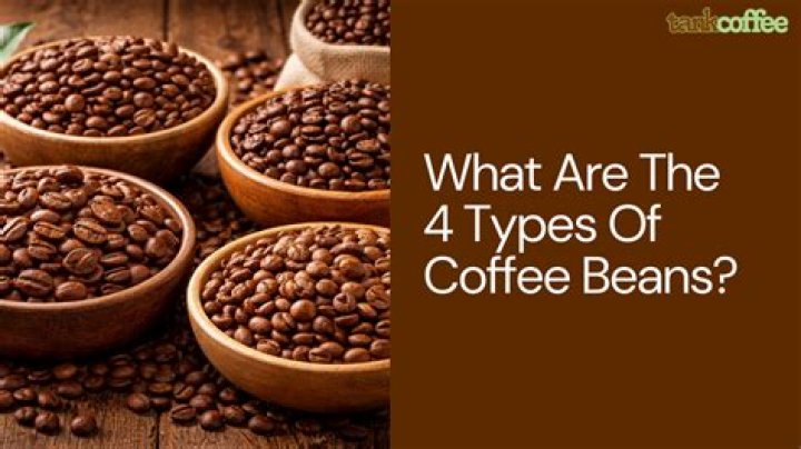 What are the 4 types of coffee beans?