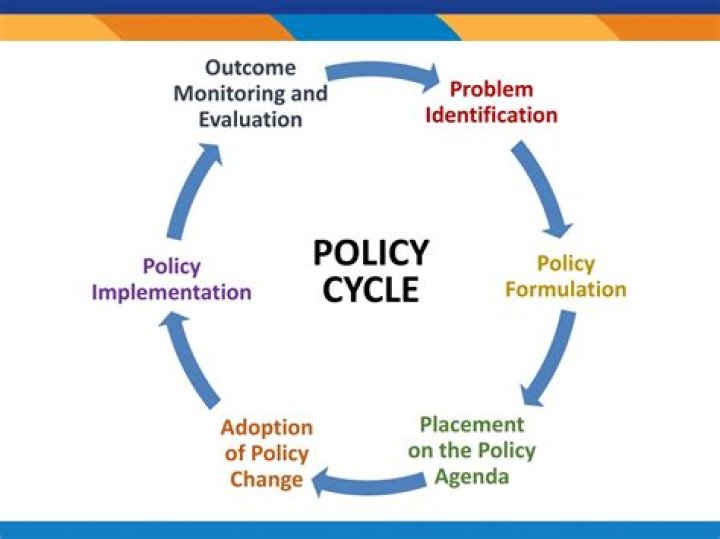 What are the 5 general steps in the policy development and implementation process?