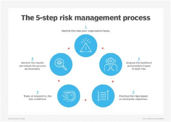 What are the 5 risk management process steps?