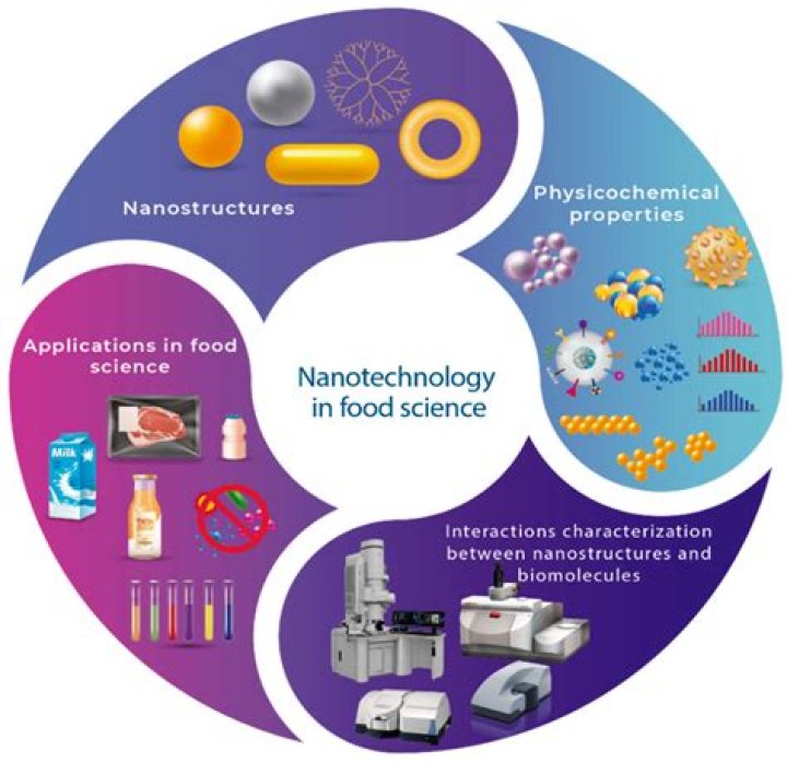 What are the applications of nanotechnology?