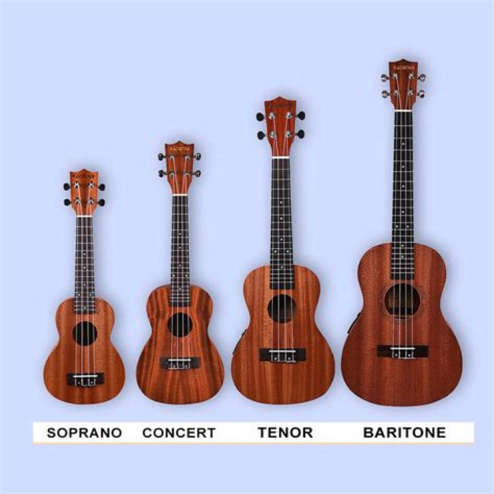 What are the best sellers in ukuleles?