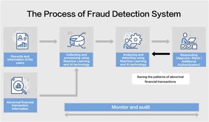 What are the fraud management strategy?