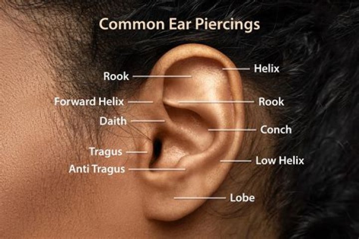 What are the parts of the ear you can pierce?