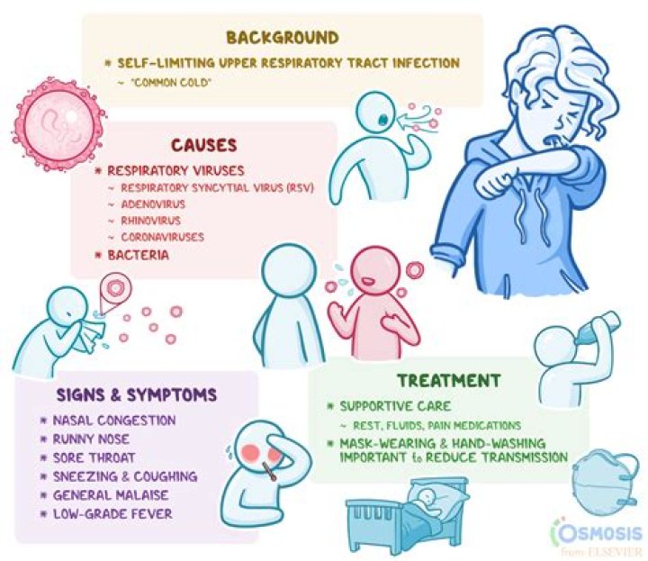 What are the signs and symptoms of cryptococcal meningitis?