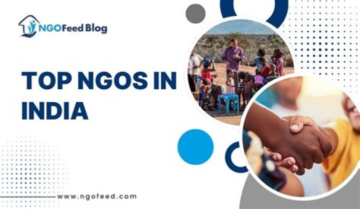 What are the strategies of NGOs?