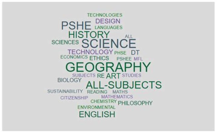 What are the subjects in M Com second year?