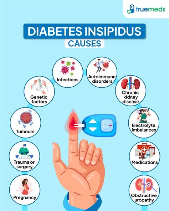 What are the two main symptoms of diabetes insipidus?
