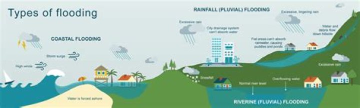 What are the types of coastal flooding?