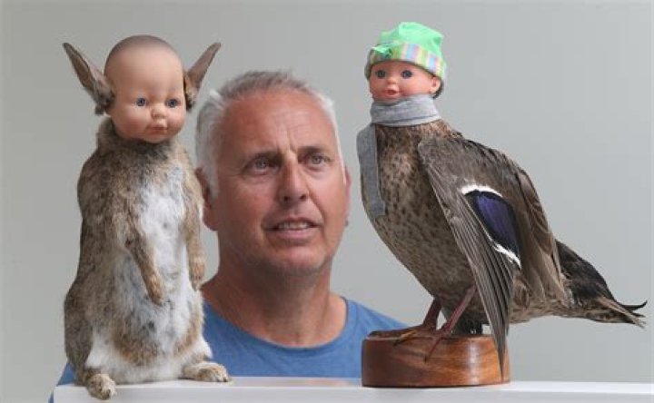 What birds are illegal to taxidermy?