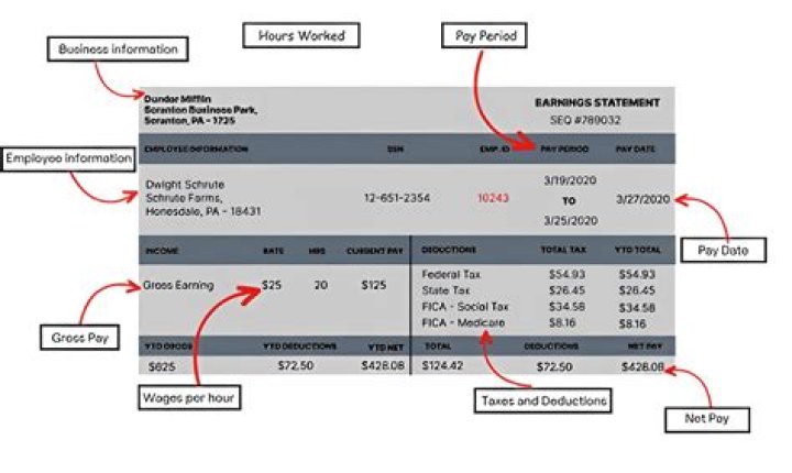 What can be garnished from your payroll check?