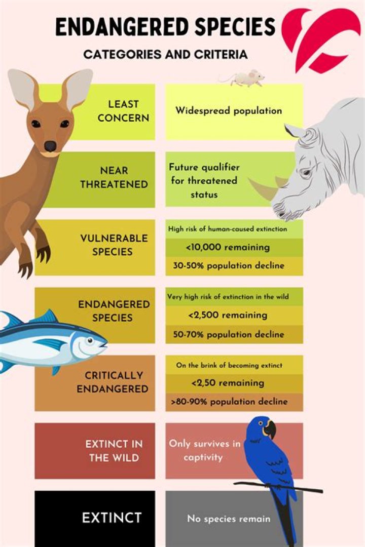 What classifies a species as endangered?