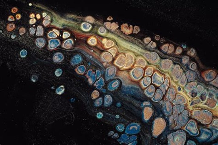 What color is Chevy tungsten metallic?