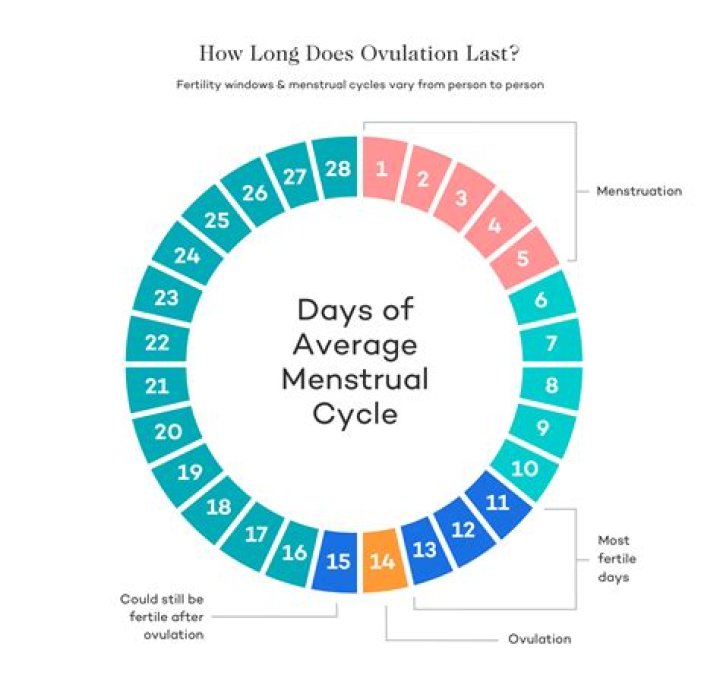 What day did I ovulate based on due date?