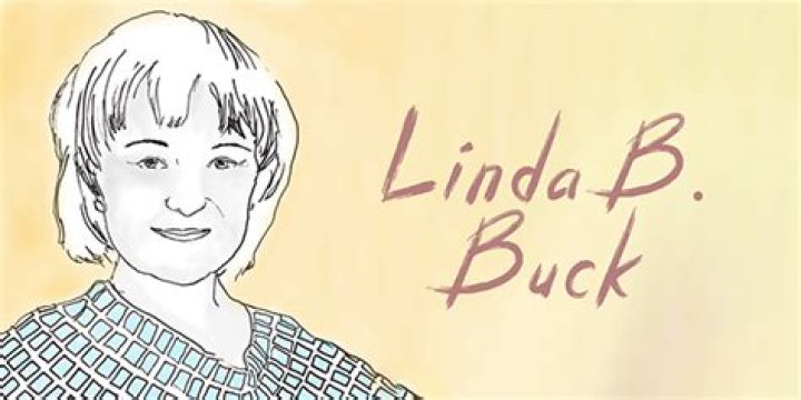 What did Linda Buck discover?