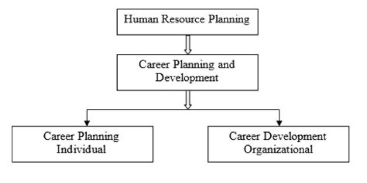 What do you mean by career?