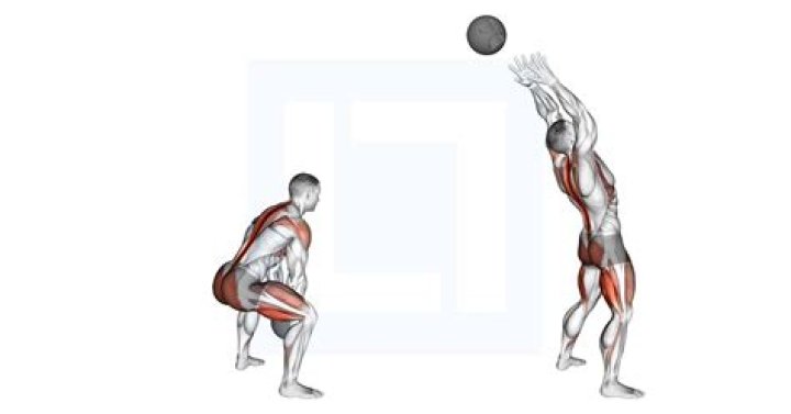 What does a medicine ball rebounder do?