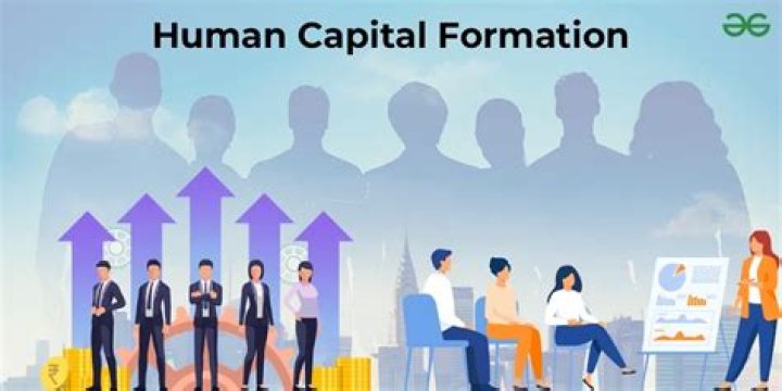 What does a VP of human capital do?