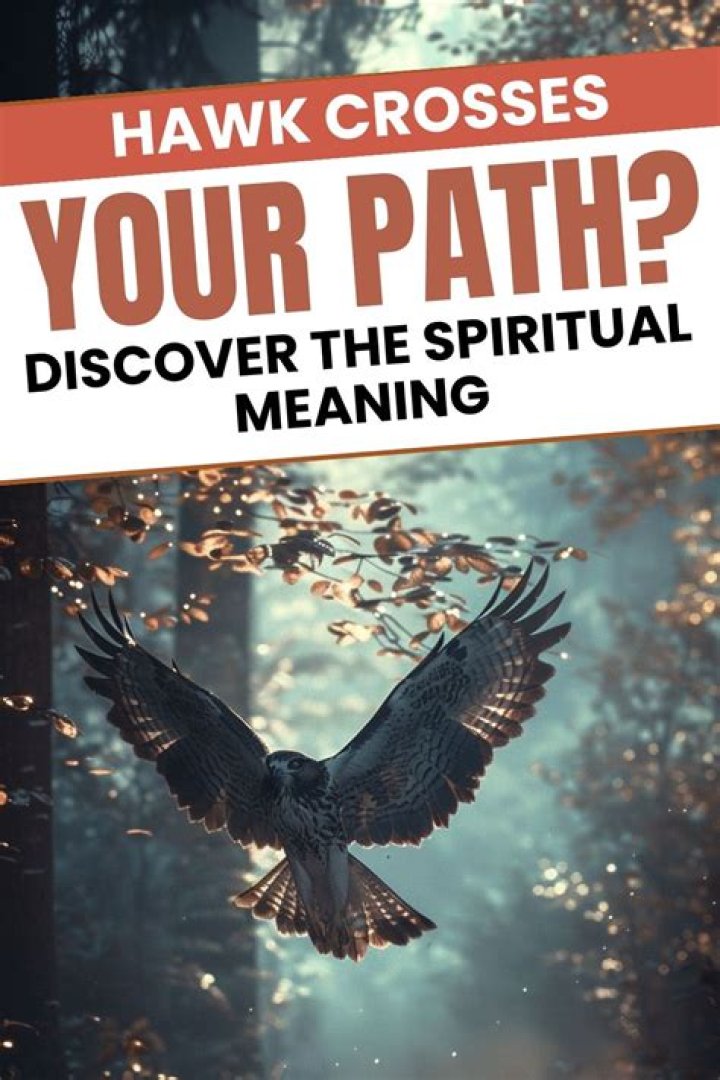 What does it mean when a hawk crosses your path?