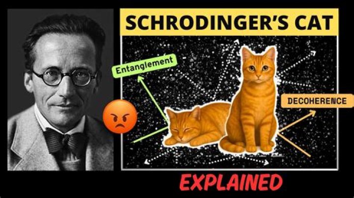 What does Schrodinger mean?