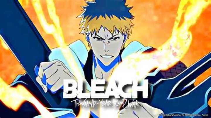 What episodes are the Bleach openings?
