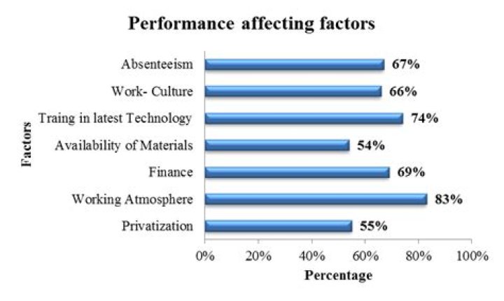 What factors affect employee performance?