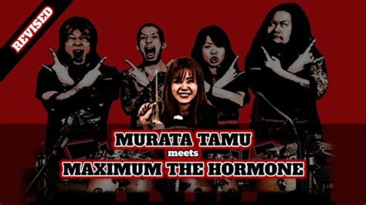 What genre of music is maximum the hormone?