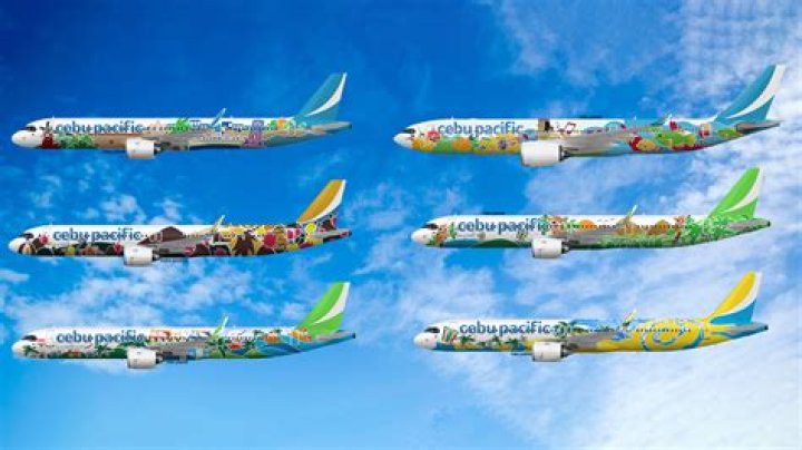 What happened Flight 387?