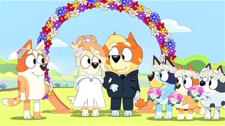 What happened Frisky Dingo?