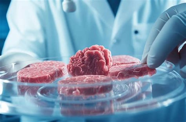 What happened to Stein meats the profit?