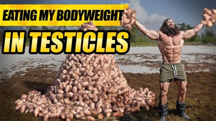 What happened to the man with the biggest testicles?