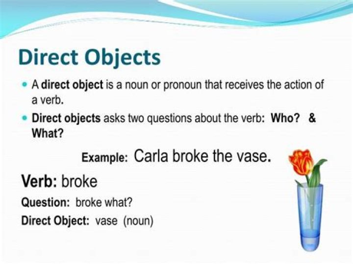 What is a direct object definition and examples?